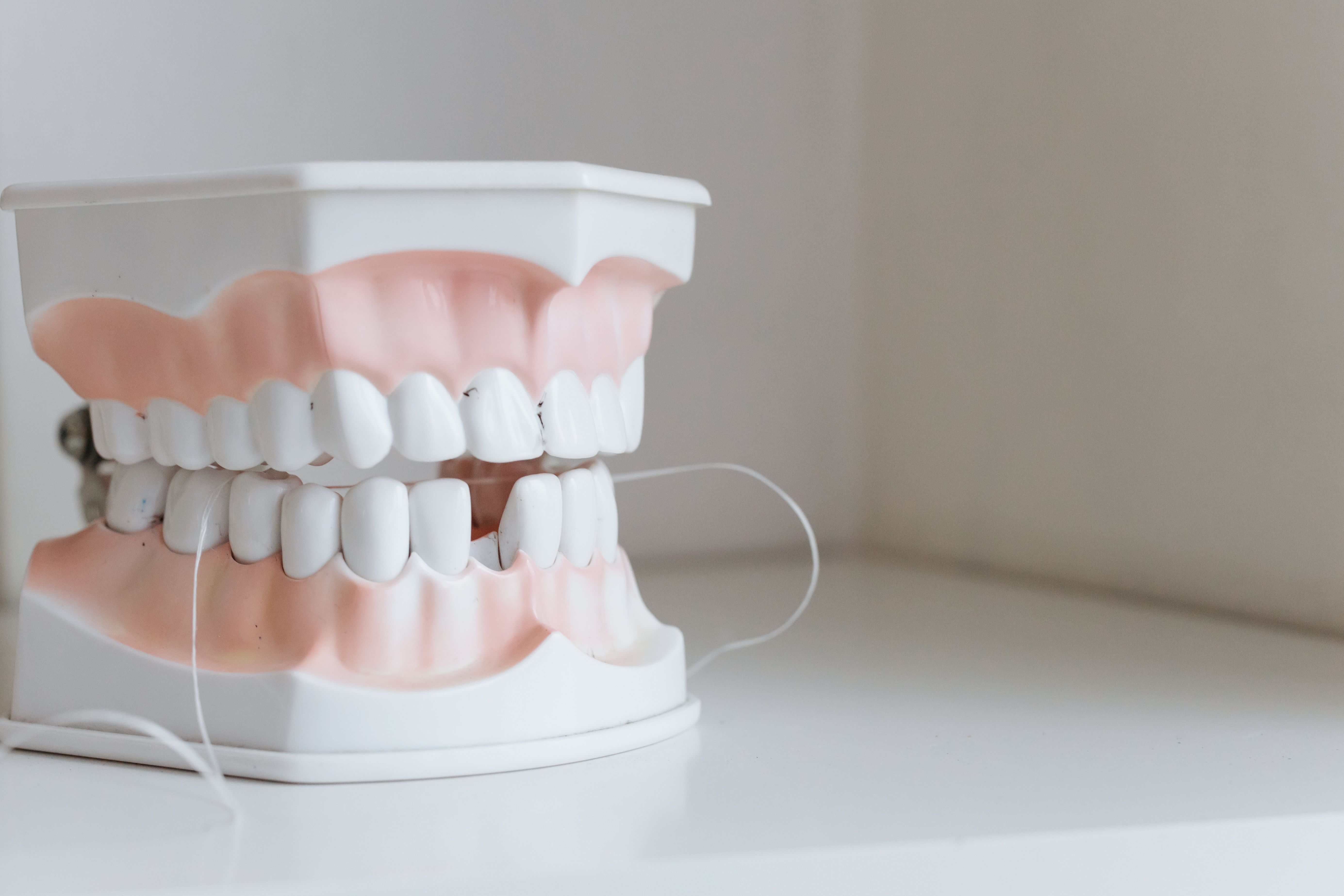 Close-up of a dental model with floss illustrating gum care to reduce inflammation